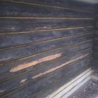 Реконструкция бани в д. Обухово